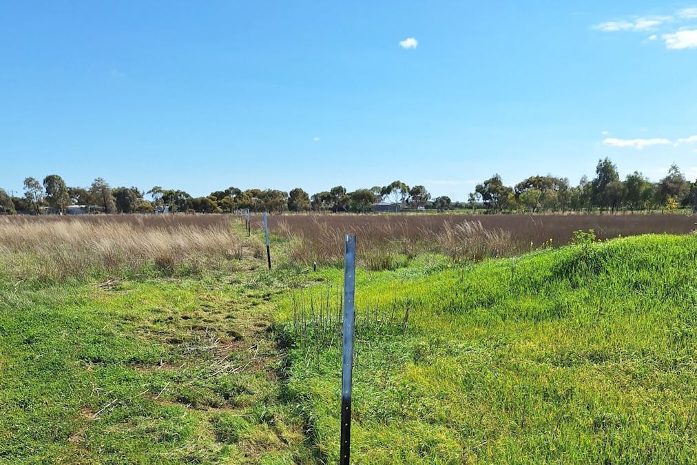 32 Wray Road, Owen, SA, 5460 - Image 4