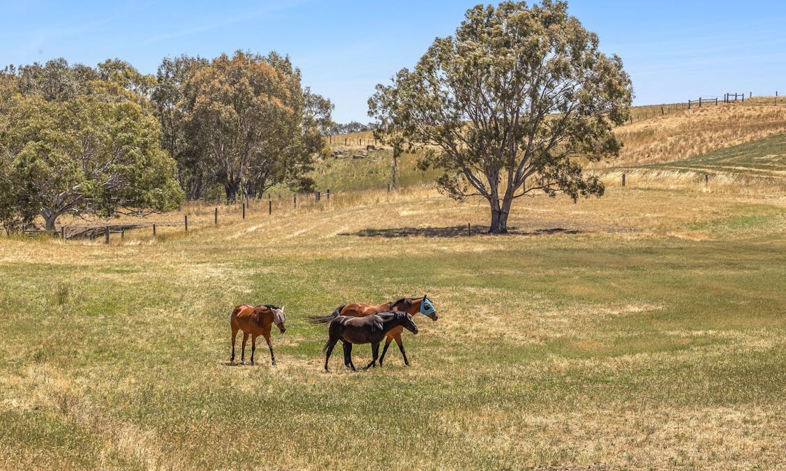 1145 Inverleigh-Winchelsea Road, Inverleigh, VIC, 3321 - Image 20