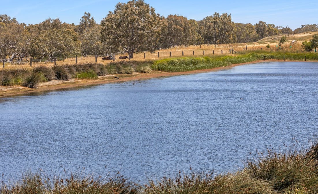 1145 Inverleigh-Winchelsea Road, Inverleigh, VIC, 3321 - Image 16