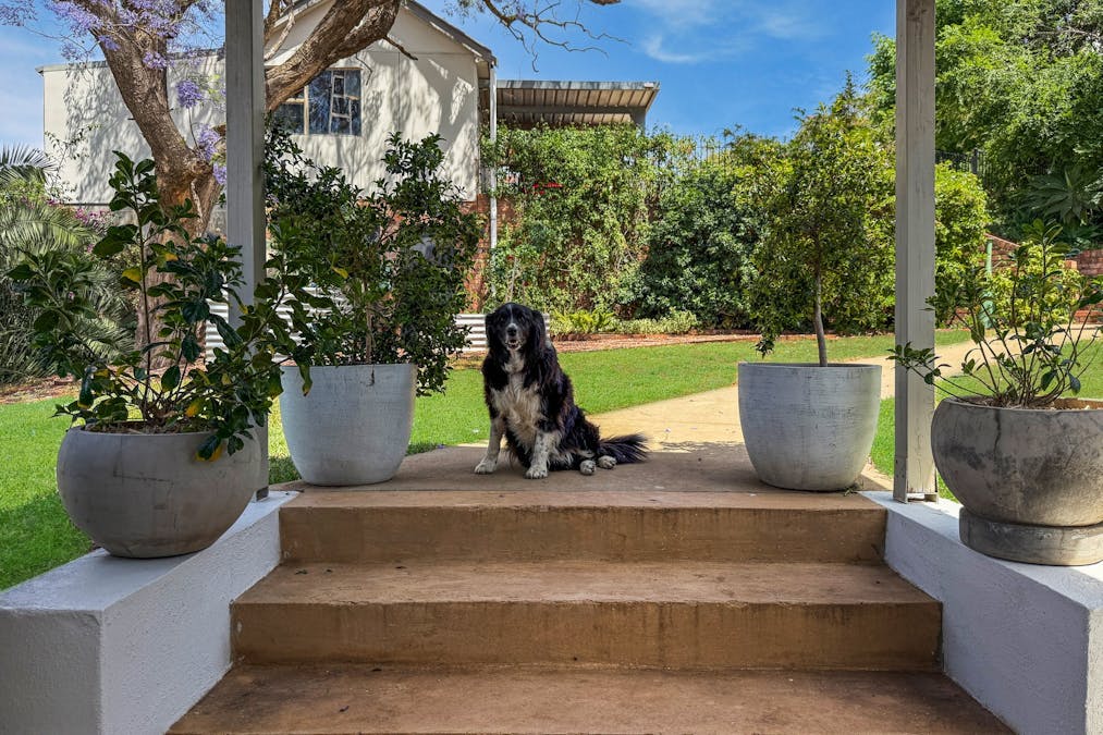 12 Albert Street, Parkes, NSW, 2870 - Image 23