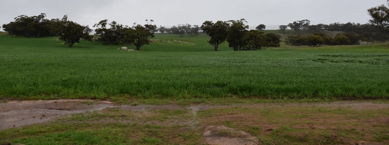 71 Cannon Hill Road, Dale, WA, 6304 - Image 29