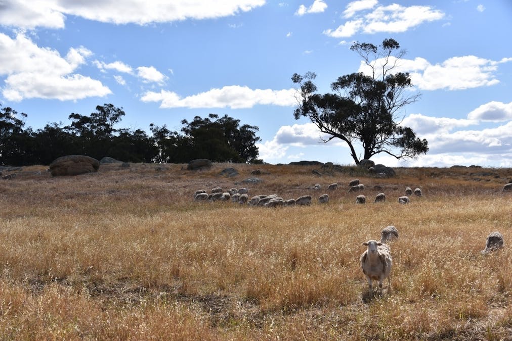 71 Cannon Hill Road, Dale, WA, 6304 - Image 14