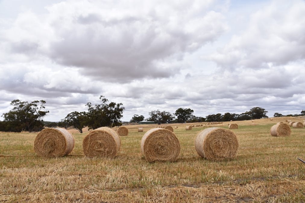 71 Cannon Hill Road, Dale, WA, 6304 - Image 31