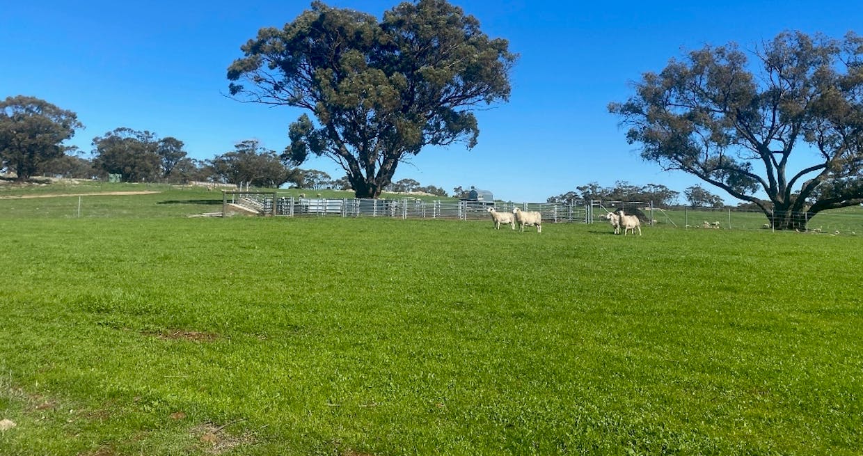 71 Cannon Hill Road, Dale, WA, 6304 - Image 19