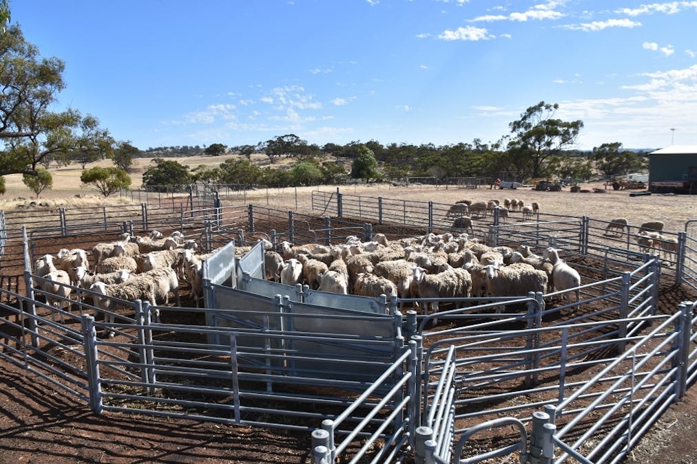 71 Cannon Hill Road, Dale, WA, 6304 - Image 20