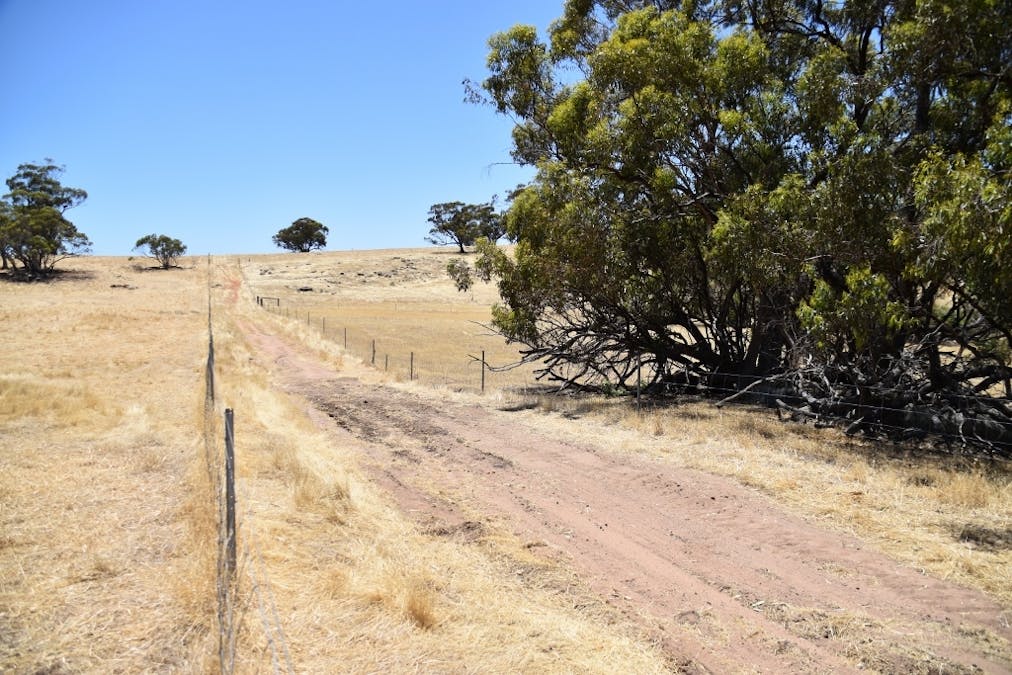 71 Cannon Hill Road, Dale, WA, 6304 - Image 13