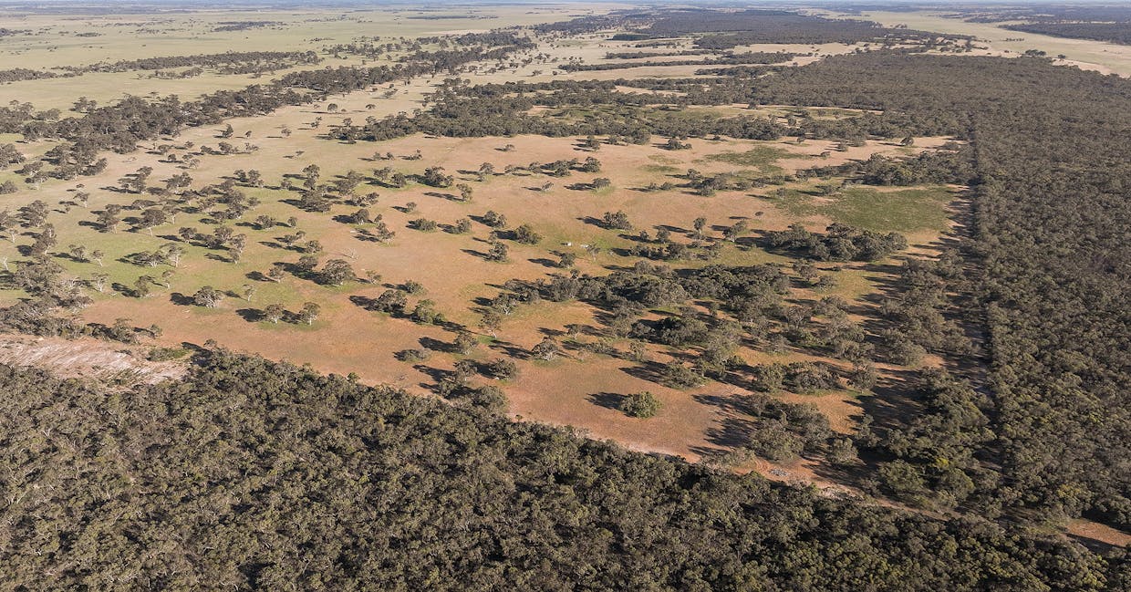 1112 Minnie Crowe Road, Avenue Range, SA, 5273 - Image 7