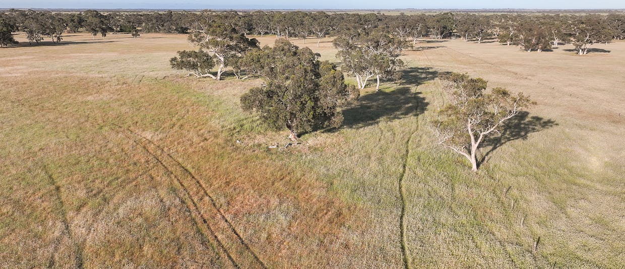 1112 Minnie Crowe Road, Avenue Range, SA, 5273 - Image 8