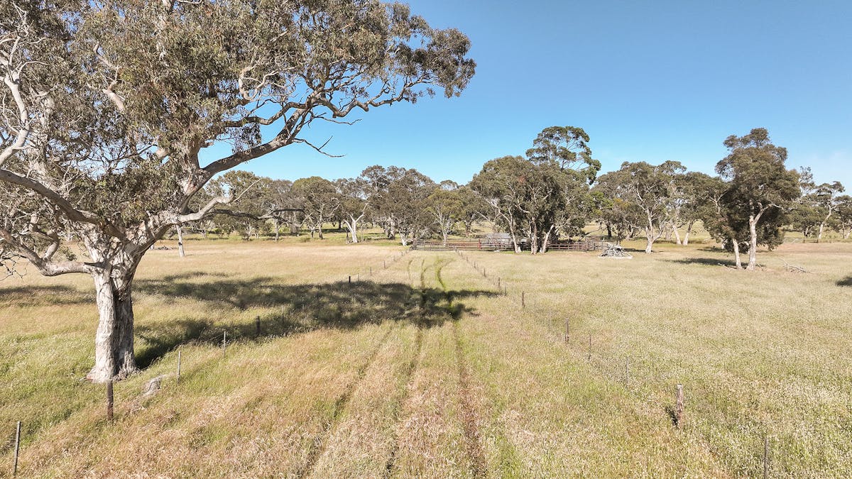 1112 Minnie Crowe Road, Avenue Range, SA, 5273 - Image 23