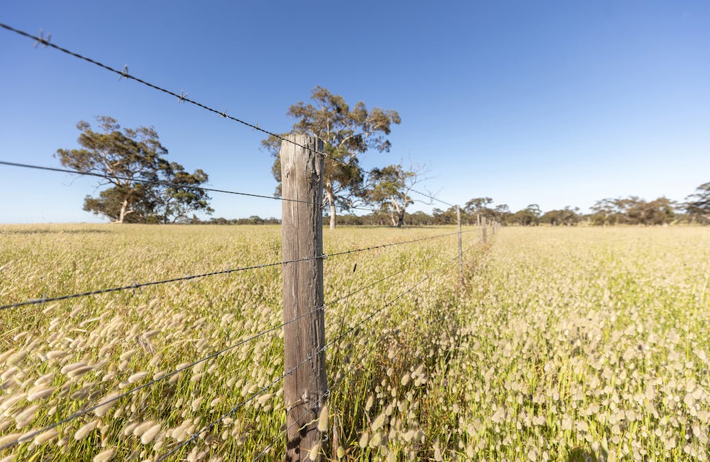 1112 Minnie Crowe Road, Avenue Range, SA, 5273 - Image 22