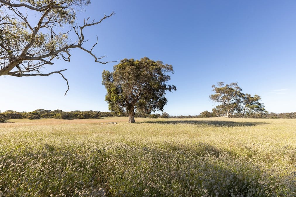 1112 Minnie Crowe Road, Avenue Range, SA, 5273 - Image 9