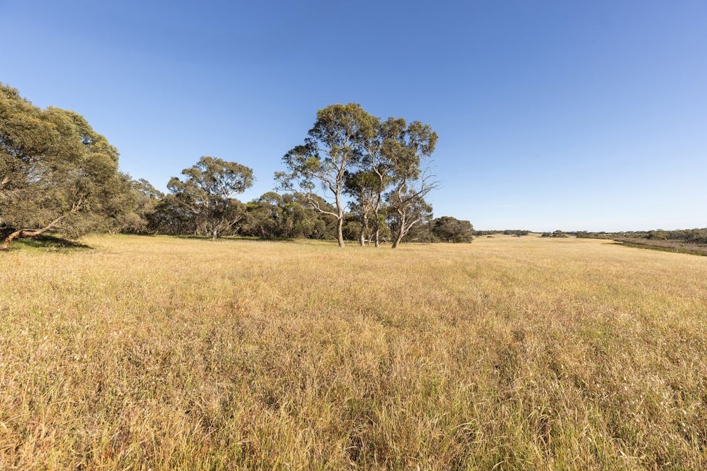 1112 Minnie Crowe Road, Avenue Range, SA, 5273 - Image 25