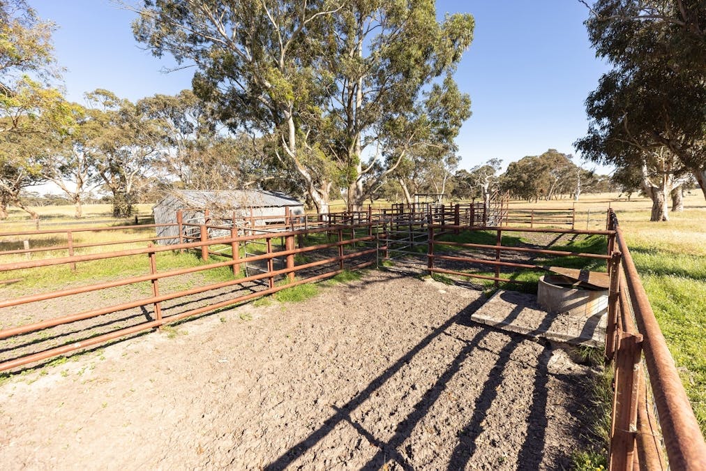 1112 Minnie Crowe Road, Avenue Range, SA, 5273 - Image 15