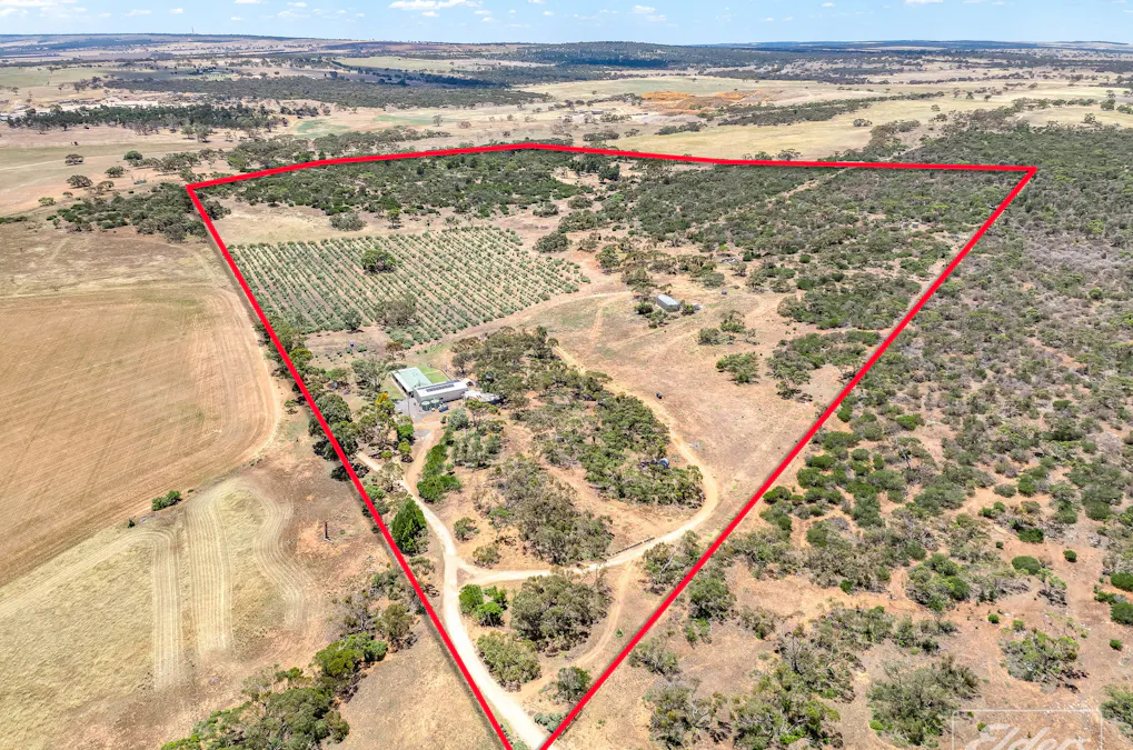 775C North Bremer Road, Hartley, SA, 5255 - Image 4