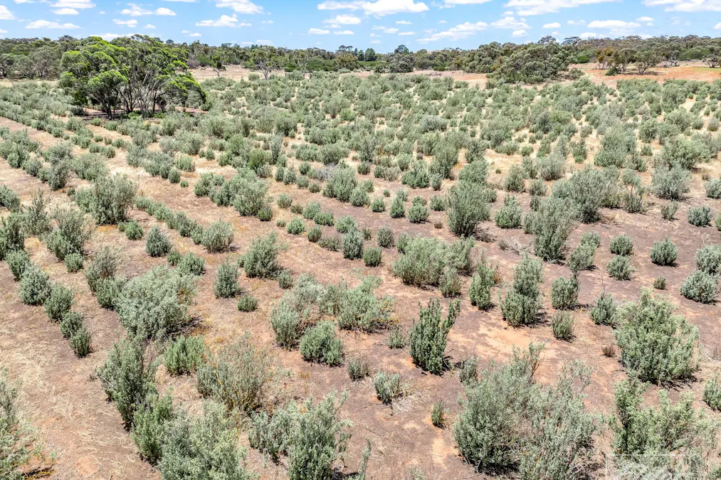 775C North Bremer Road, Hartley, SA, 5255 - Image 30