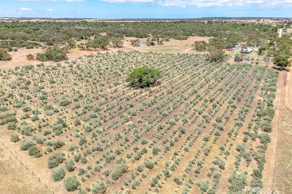 775C North Bremer Road, Hartley, SA, 5255 - Image 29