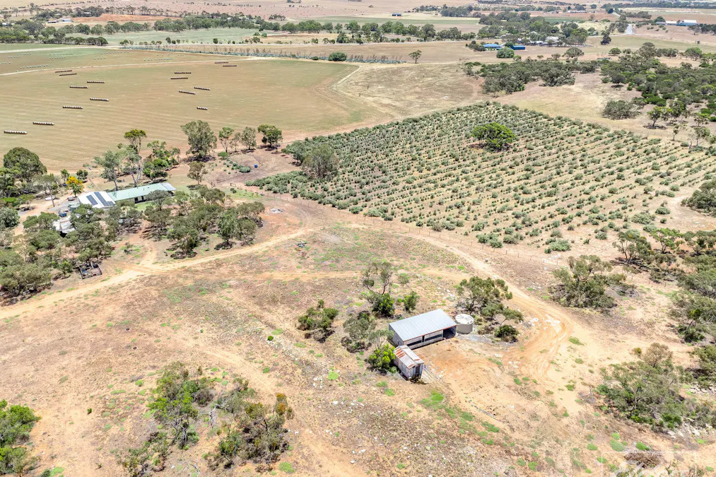 775C North Bremer Road, Hartley, SA, 5255 - Image 31