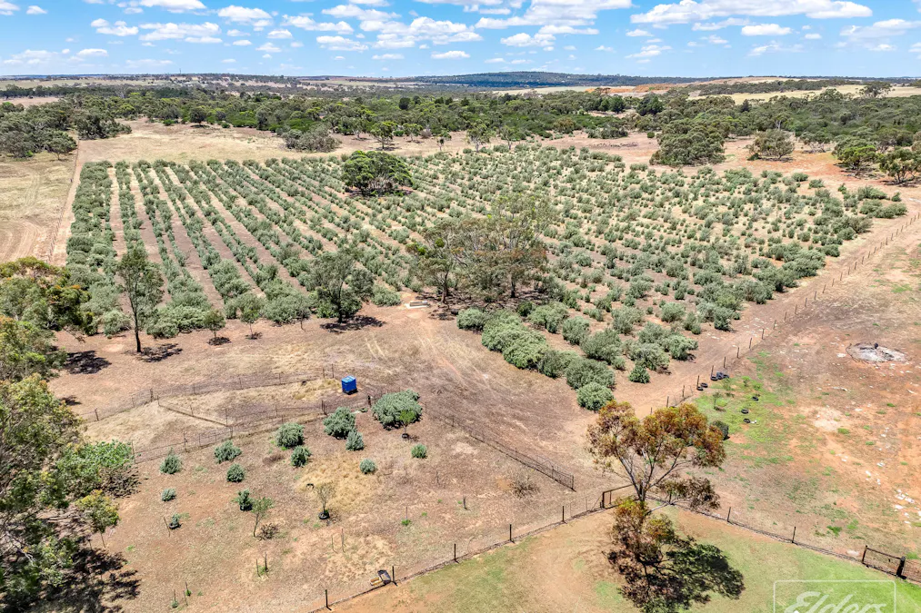 775C North Bremer Road, Hartley, SA, 5255 - Image 35