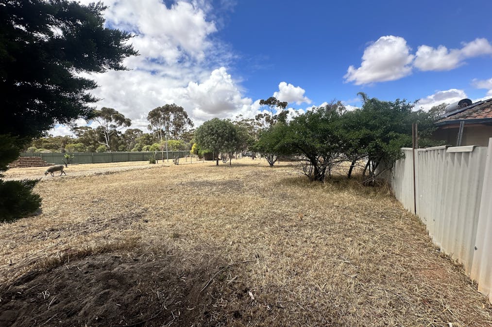 69 May Street, Narrogin, WA, 6312 - Image 7