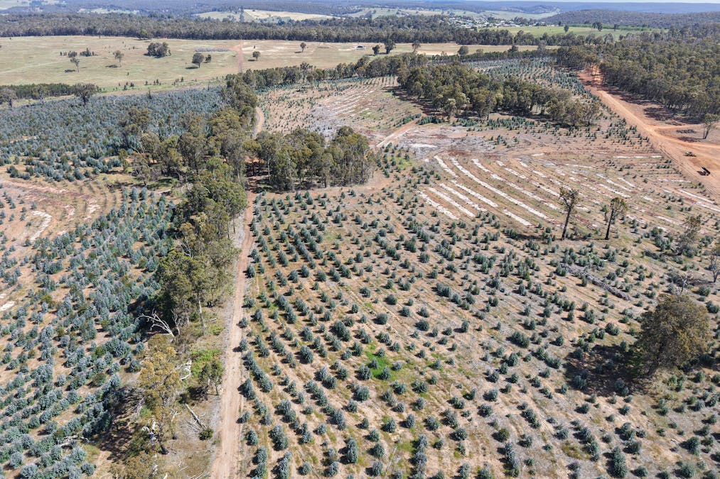 Lot 3 Peninsula Road, Bridgetown, WA, 6255 - Image 4