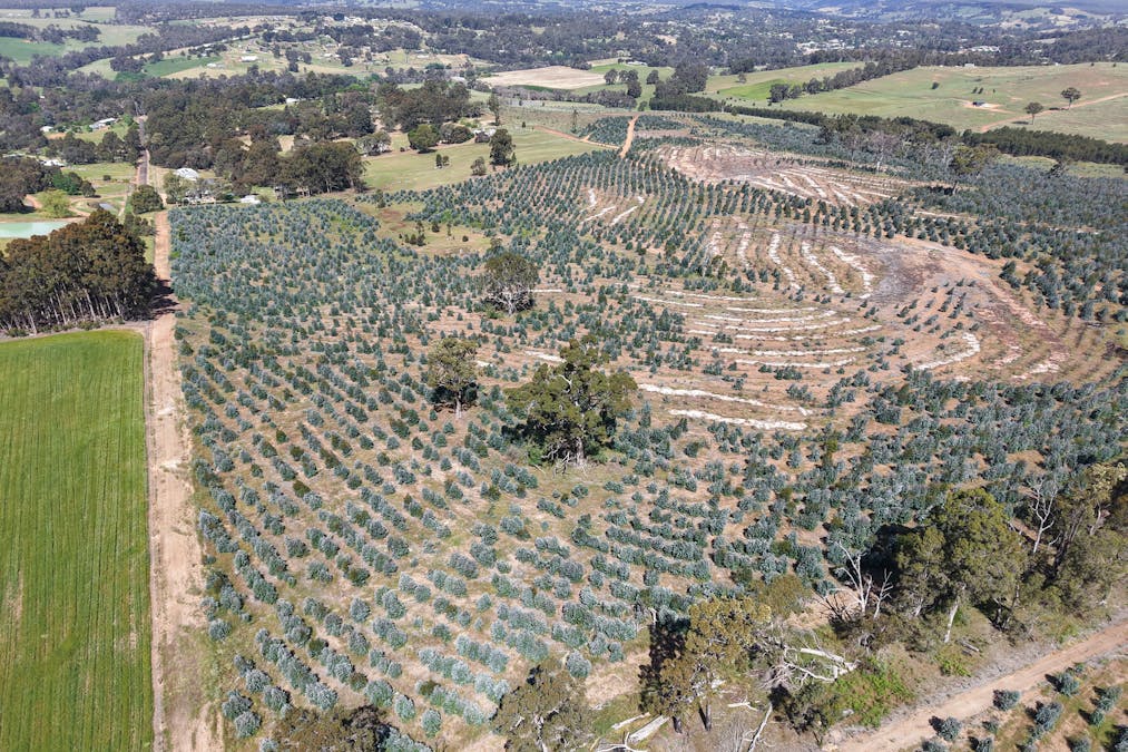 Lot 1251 Peninsula Road, Bridgetown, WA, 6255 - Image 2