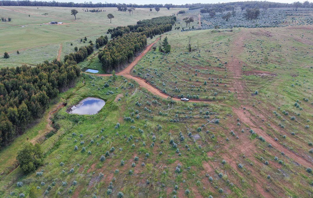 Lot 1251 Peninsula Road, Bridgetown, WA, 6255 - Image 3
