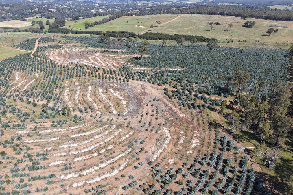 Lot 1251 Peninsula Road, Bridgetown, WA, 6255 - Image 4