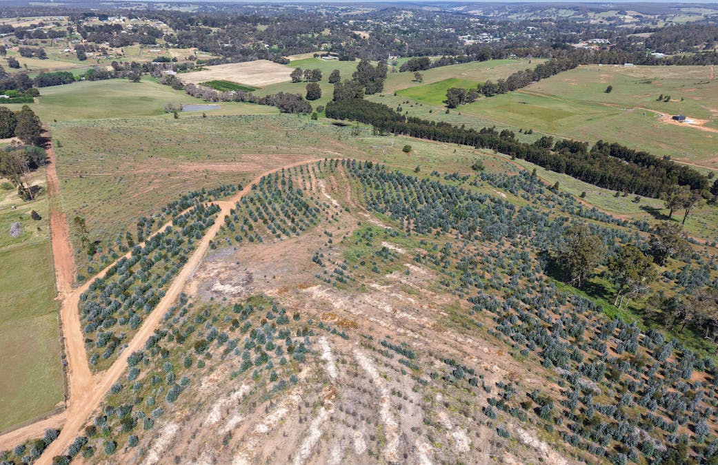 Lot 1251 Peninsula Road, Bridgetown, WA, 6255 - Image 5