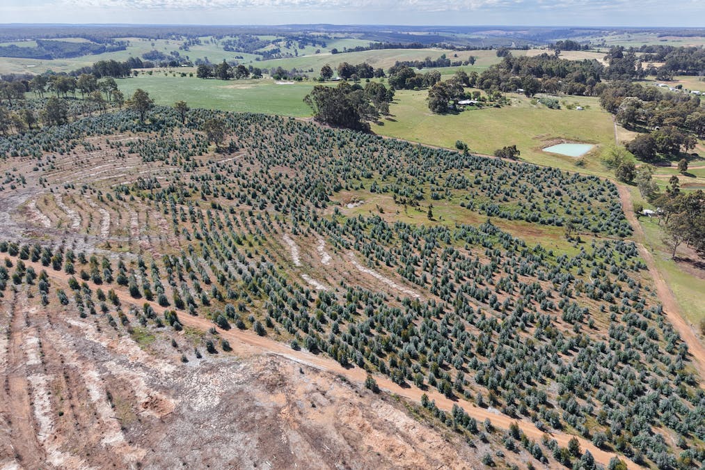 Lot 1251 Peninsula Road, Bridgetown, WA, 6255 - Image 6