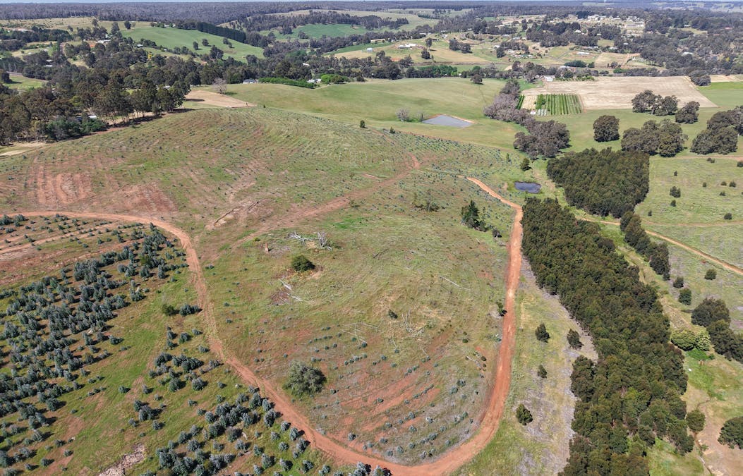 Lot 1251 Peninsula Road, Bridgetown, WA, 6255 - Image 7