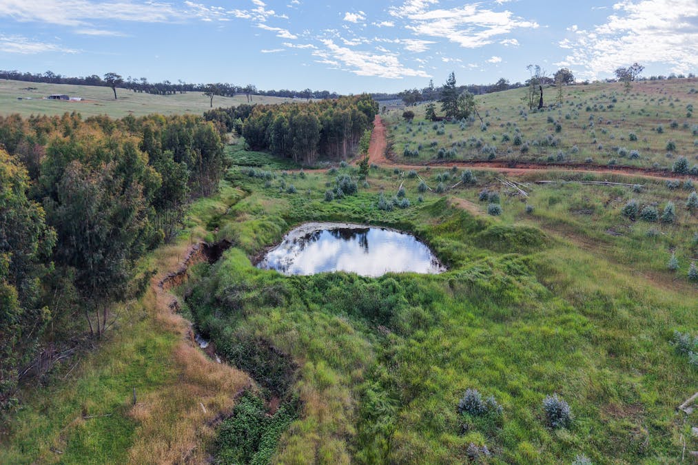 Lot 1251 Peninsula Road, Bridgetown, WA, 6255 - Image 10