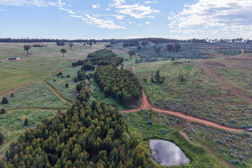 Lot 1251 Peninsula Road, Bridgetown, WA, 6255 - Image 11