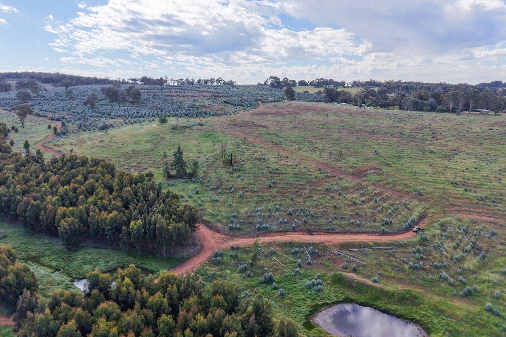 Lot 1251 Peninsula Road, Bridgetown, WA, 6255 - Image 12