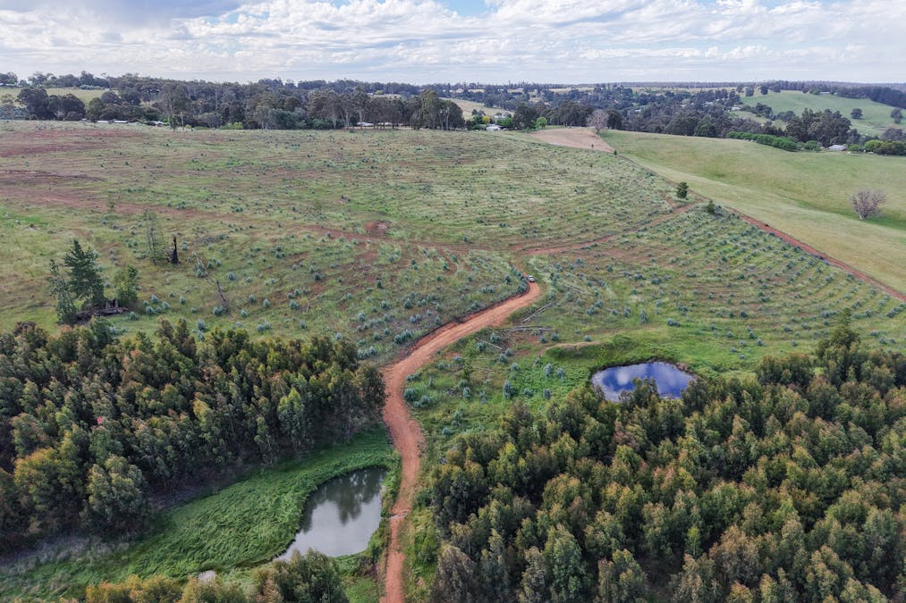 Lot 1251 Peninsula Road, Bridgetown, WA, 6255 - Image 13