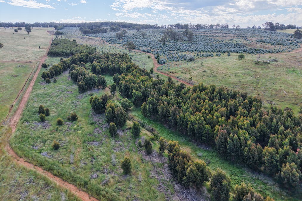 Lot 1251 Peninsula Road, Bridgetown, WA, 6255 - Image 14