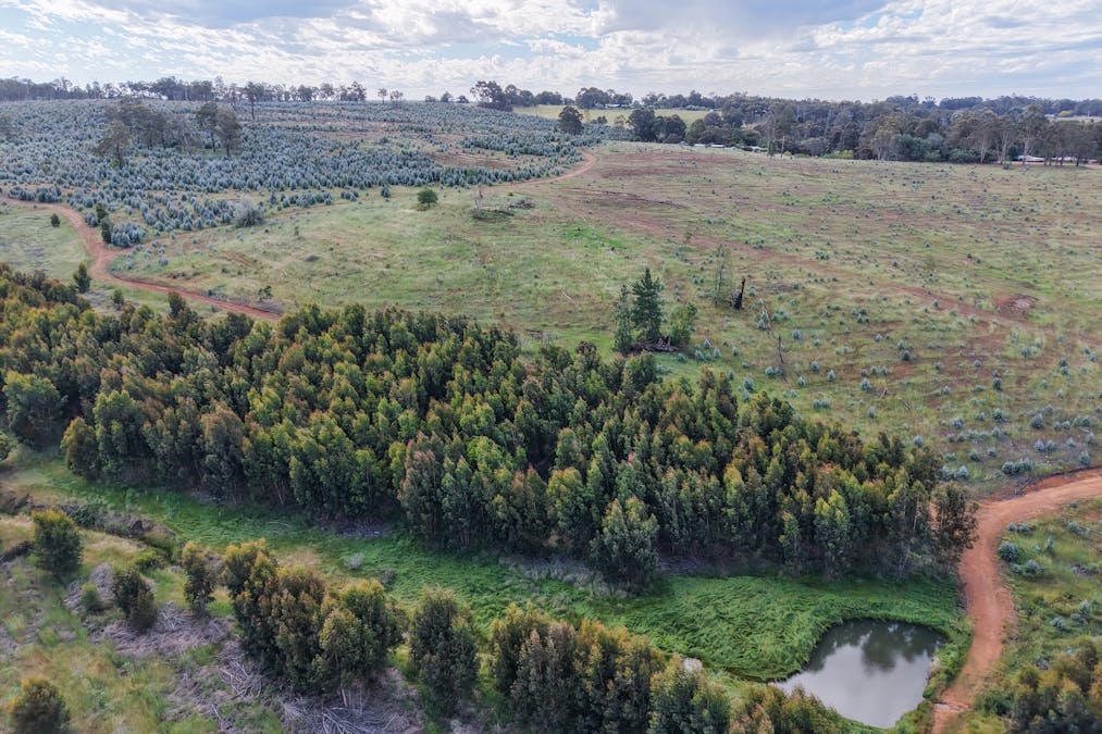 Lot 1251 Peninsula Road, Bridgetown, WA, 6255 - Image 15