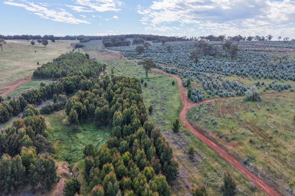 Lot 1251 Peninsula Road, Bridgetown, WA, 6255 - Image 16