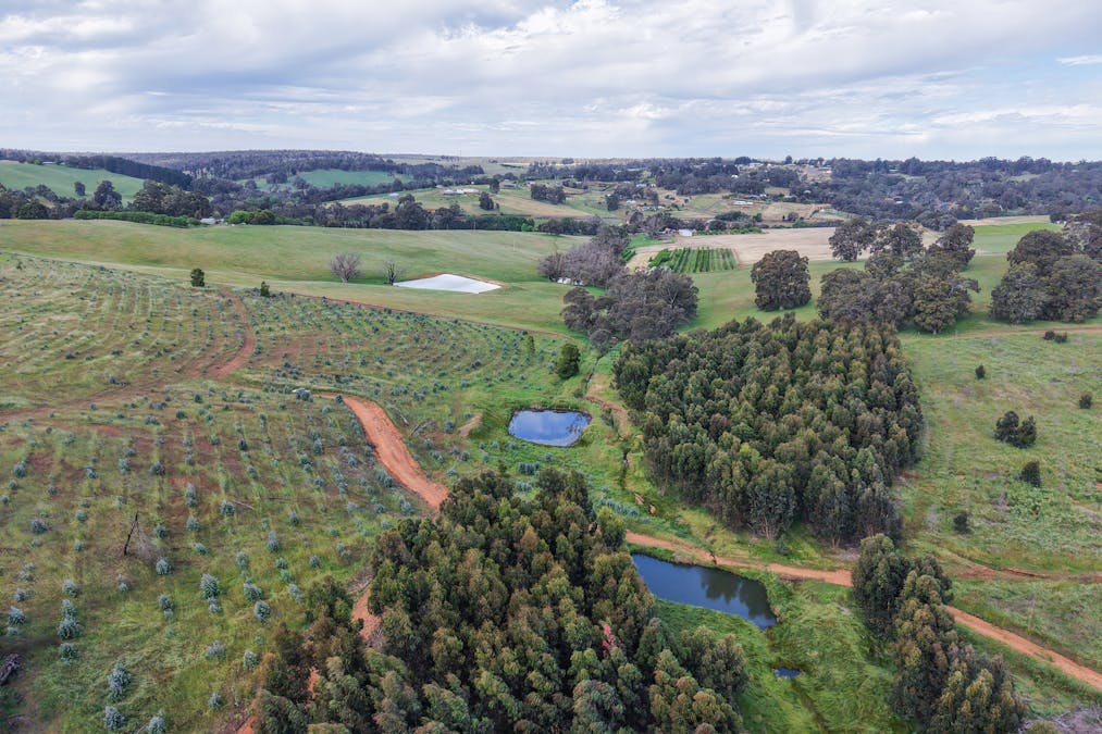 Lot 1251 Peninsula Road, Bridgetown, WA, 6255 - Image 17