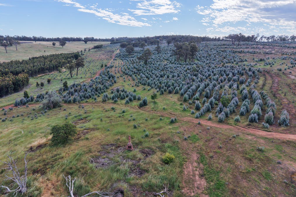 Lot 1251 Peninsula Road, Bridgetown, WA, 6255 - Image 19