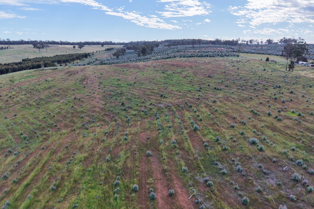 Lot 1251 Peninsula Road, Bridgetown, WA, 6255 - Image 20