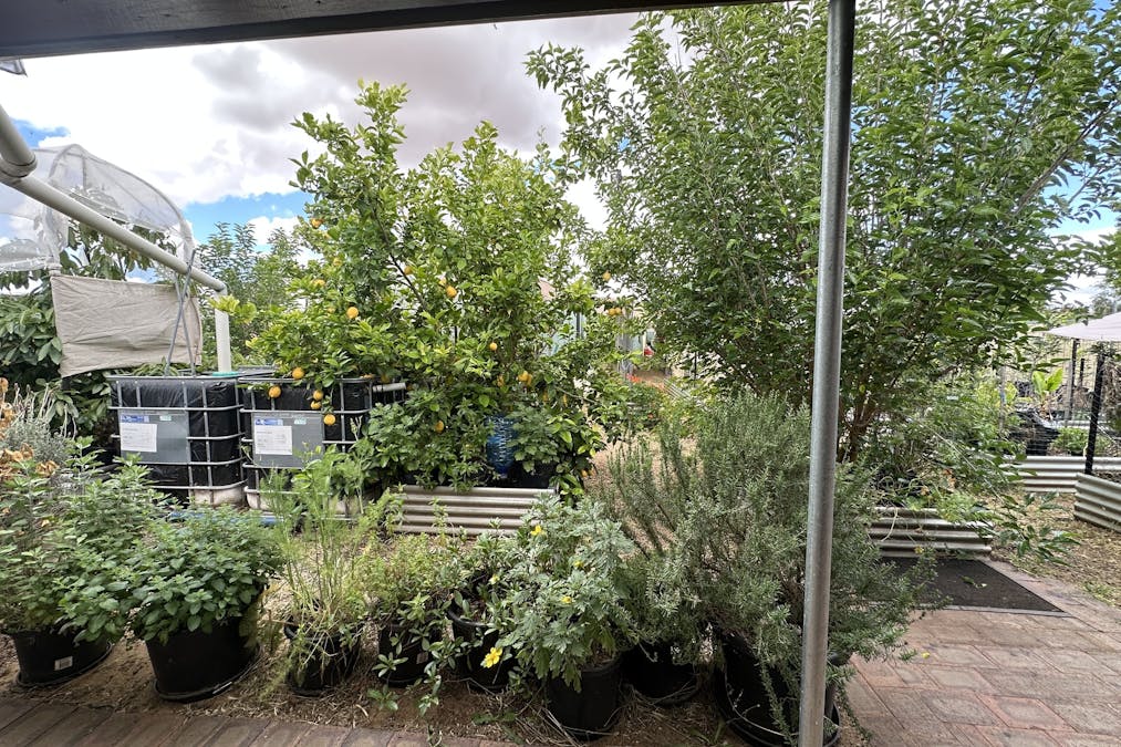 22 Rifle North Street, Wagin, WA, 6315 - Image 21