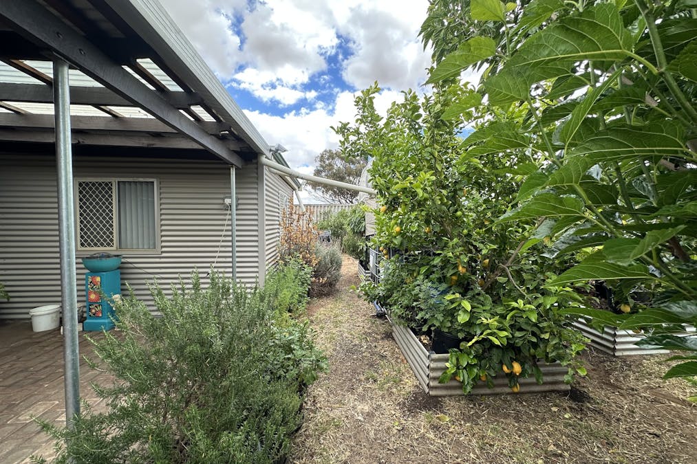 22 Rifle North Street, Wagin, WA, 6315 - Image 28