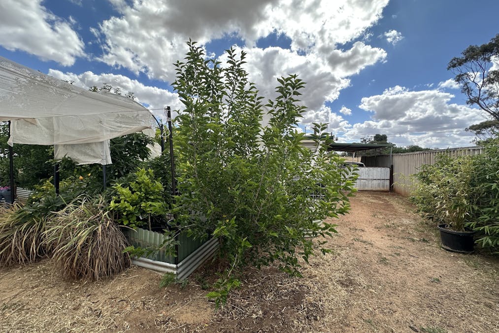 22 Rifle North Street, Wagin, WA, 6315 - Image 26