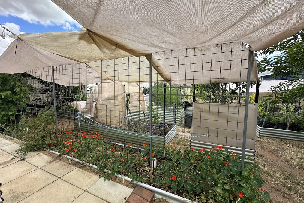 22 Rifle North Street, Wagin, WA, 6315 - Image 29