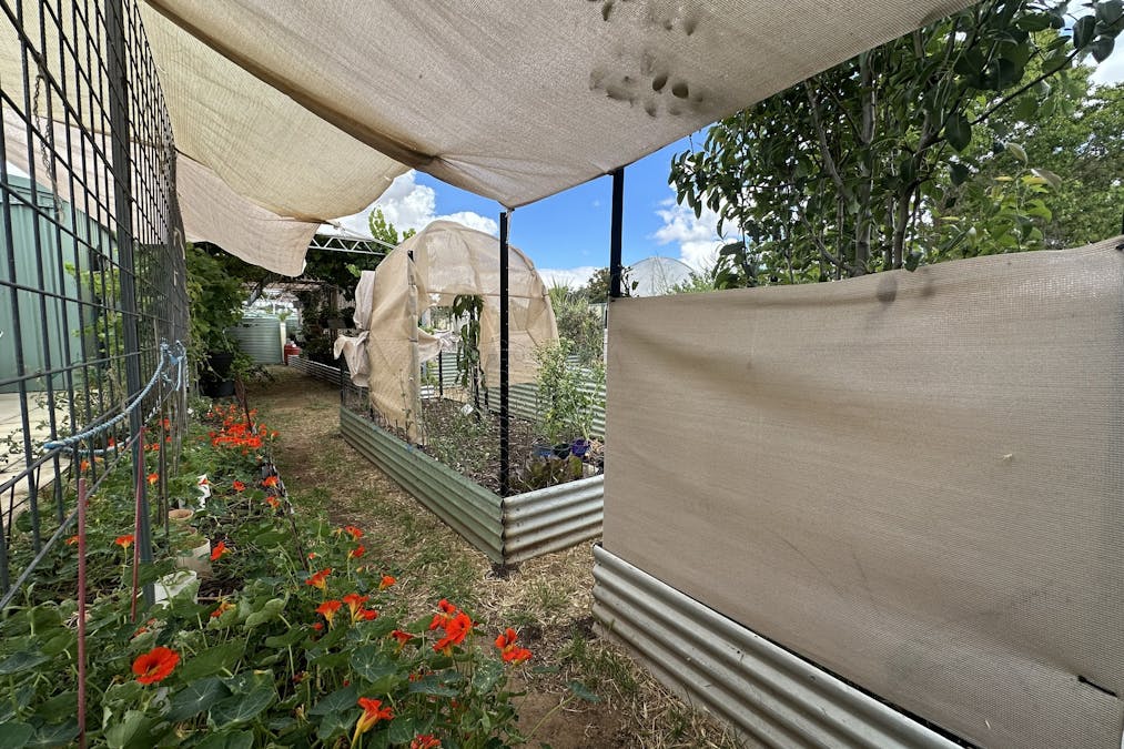 22 Rifle North Street, Wagin, WA, 6315 - Image 23