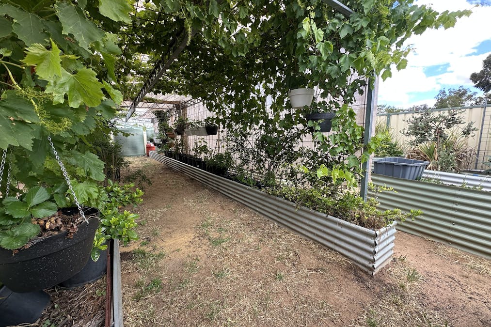 22 Rifle North Street, Wagin, WA, 6315 - Image 27