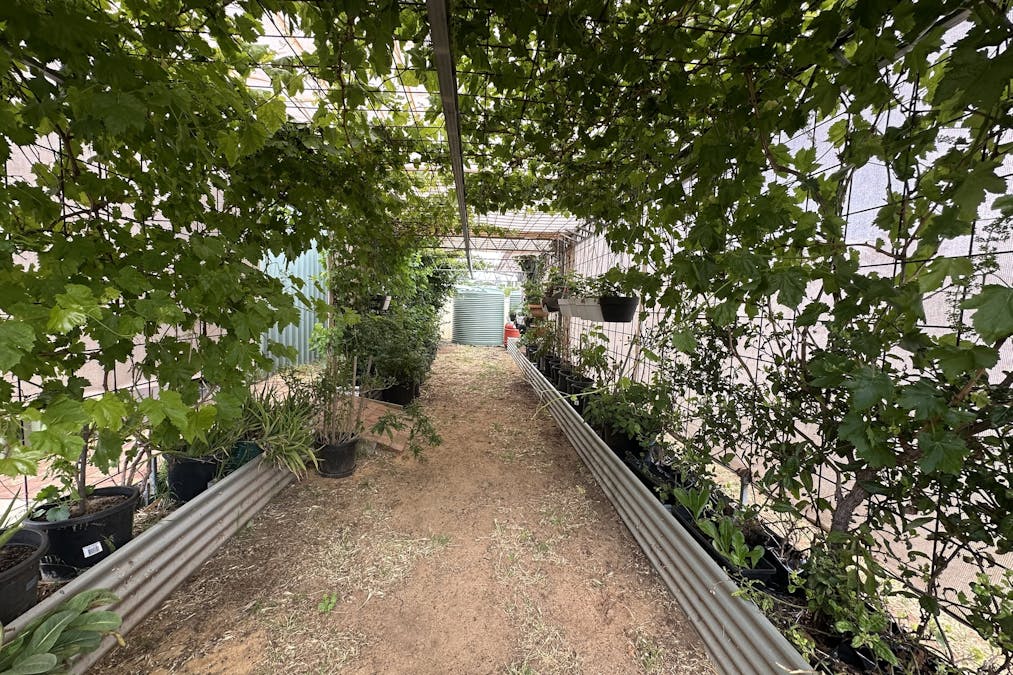 22 Rifle North Street, Wagin, WA, 6315 - Image 22