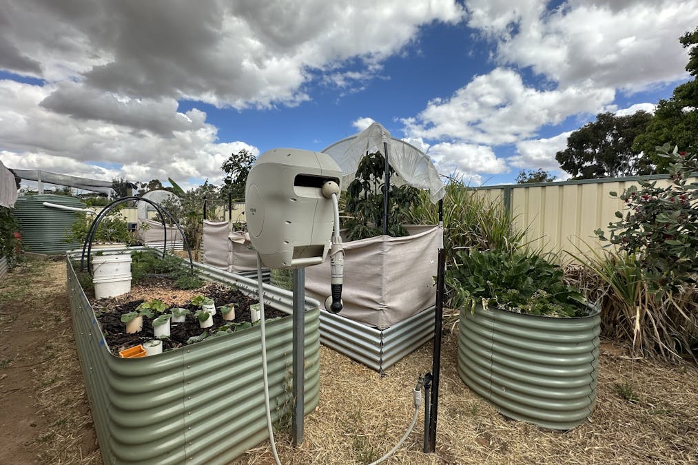 22 Rifle North Street, Wagin, WA, 6315 - Image 24