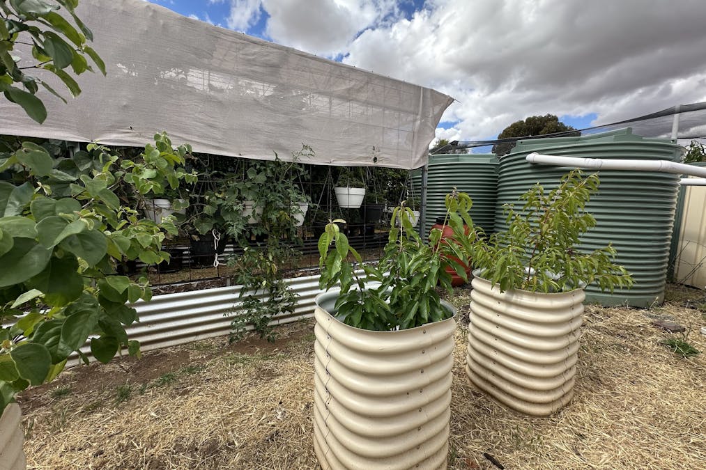 22 Rifle North Street, Wagin, WA, 6315 - Image 25