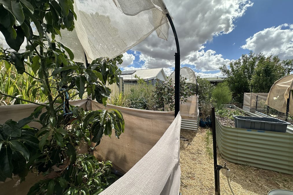 22 Rifle North Street, Wagin, WA, 6315 - Image 30